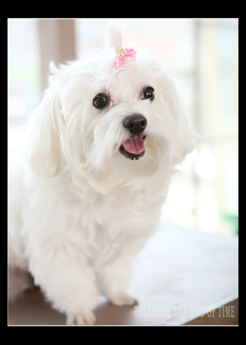 20130404193007217078.jpg
